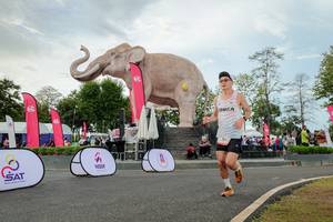 BIB: 
                            <button type="button" onclick="openModal(26528723)" class="btn btn-primary btn-sm float-right btn-popup" data-toggle="modal" data-target=".modal-high-quality">
                        <i class="fas fa-shopping-cart"></i> Add to Cart
                    </button>
                                            <button type="button" onclick="isThisMe(26528723, true)" class="btn btn-success btn-sm float-right btn-popup btn-isme hidden" data-toggle="tooltip" data-placement="bottom" title="นี่คือรูปของคุณใช่ไหม คลิกที่นี่เพื่อเอาเข้าอัลบั้ม">
                        <i class="fas fa-plus"></i> Add to album
                    </button>
                    <button type="button" onclick="isThisMe(26528723, false)" class="btn btn-warning btn-sm float-right btn-popup btn-isnotme hidden">
                        <i class="fas fa-ban"></i> Remove from album
                    </button>